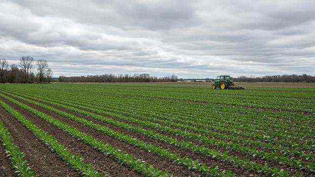 Spreadsheet-style view of cover crop payment rates per acre