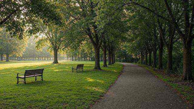 Idlewild Park lawn and path in Easton