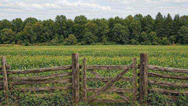 Conserved Talbot farmland behind a wooden gate