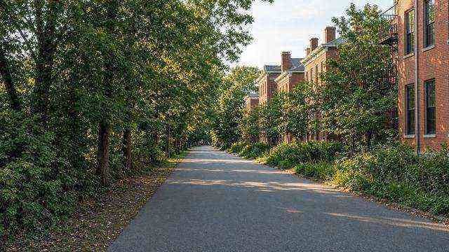 Rails to Trails corridor near downtown Easton