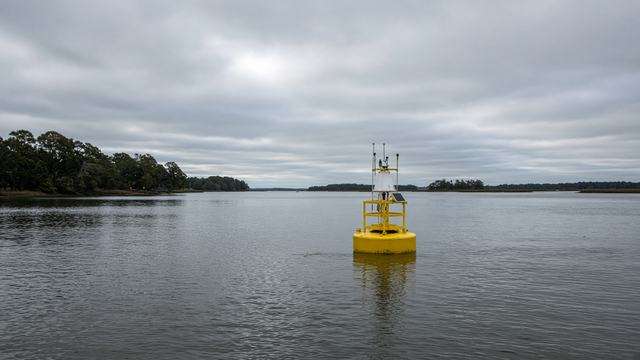 Unattended dissolved-oxygen monitoring buoy on a quiet Chesapeake channel
