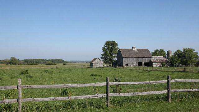 Pasture and farm buildings on Maryland’s Eastern Shore under a clear sky