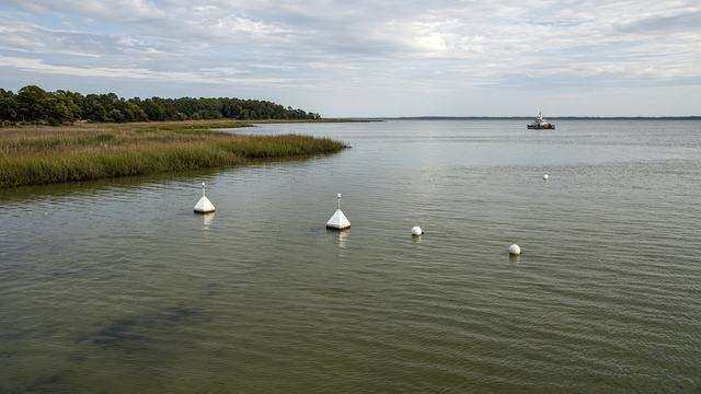 Talbot County cove with SAV zone markers and empty shallow water