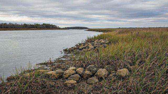 Tred Avon shoreline at Oxford where Ort Farms wetlands work was licensed