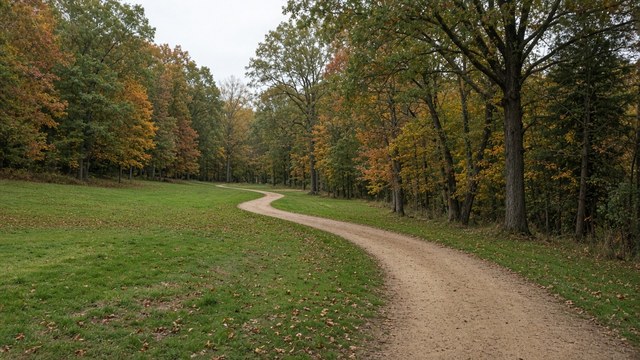 Photorealistic photo of college cross country runners in a pack on a grass course lined with autumn trees in a park